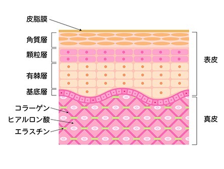 プラズマシャワーとは?