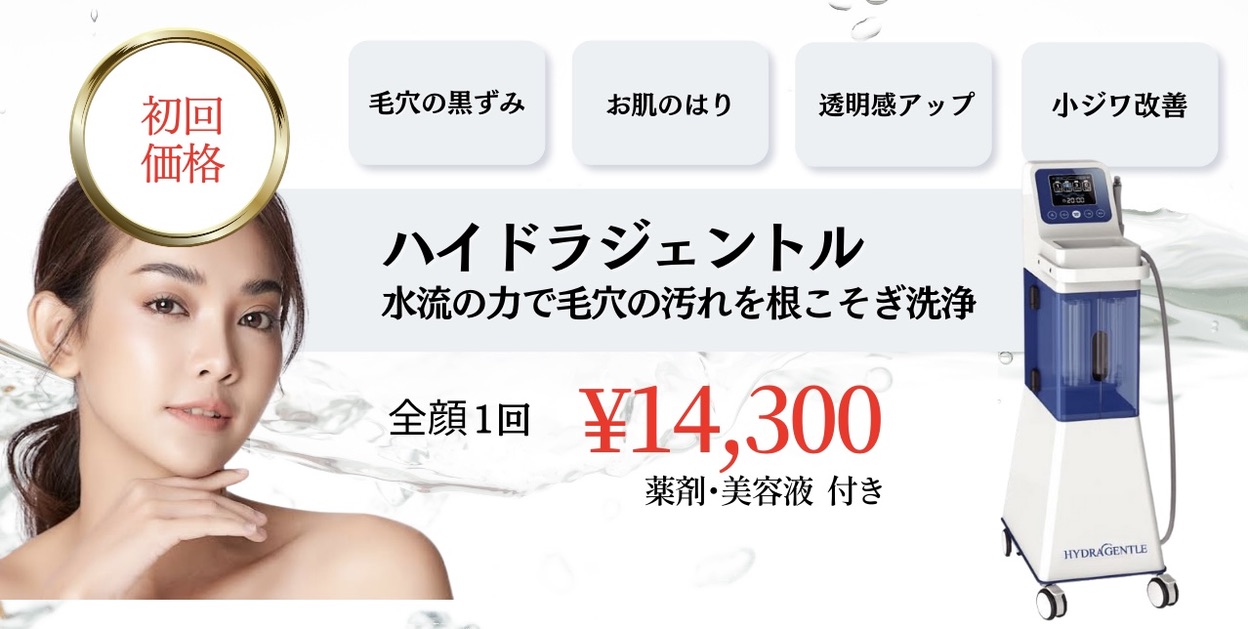ハイドラジェントルの初回価格を案内する画像